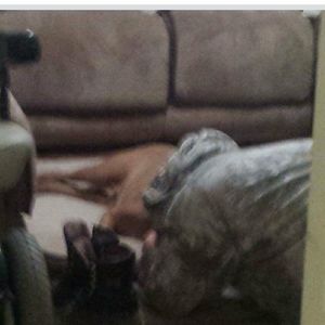 Meet your Posher, Justin